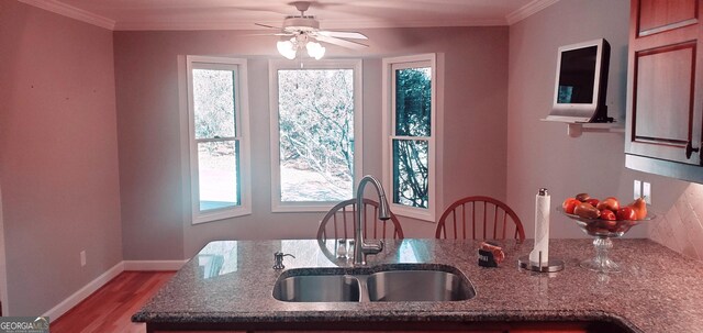 1030 Lake Haynes Dr NE, Conyers, GA 30012 - kitchen featuring wood finished floors, dark stone countertops, plenty of natural light, and a sink