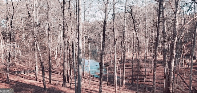 view of local wilderness