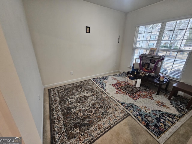 interior space featuring carpet floors