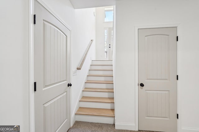 stairs featuring carpet floors