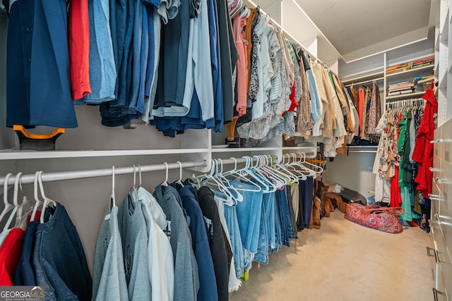 walk in closet with carpet