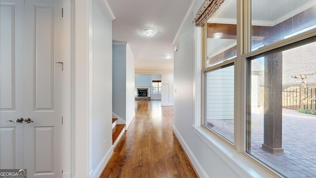 hallway with wood-type flooring and ornamental molding