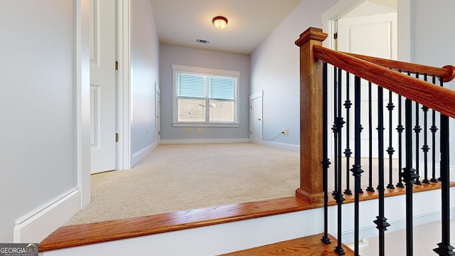 stairway featuring carpet