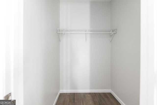 spacious closet featuring dark hardwood / wood-style flooring