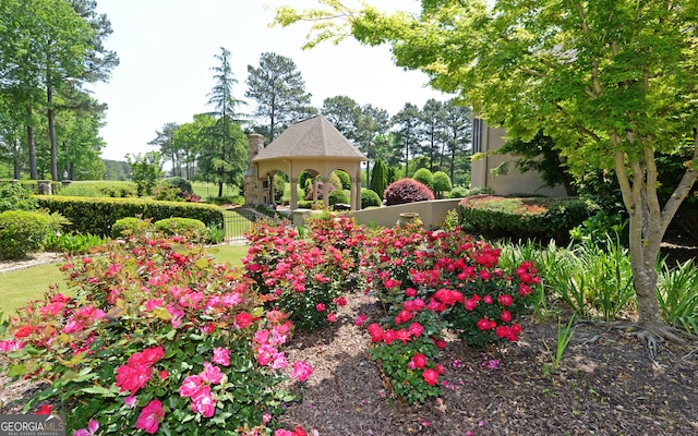 view of home's community with a gazebo