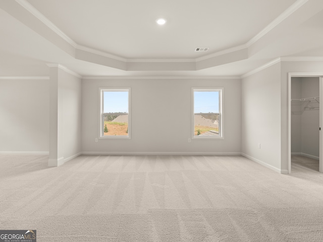 spare room featuring a healthy amount of sunlight, light carpet, and a tray ceiling