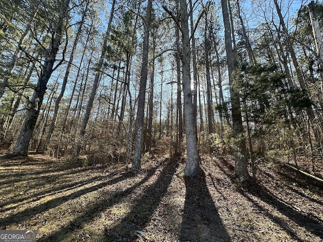 Listing photo 2 for 0 Hard Rock Rd, Oxford GA 30054