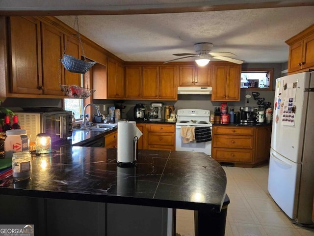 kitchen featuring kitchen peninsula, a wealth of natural light, sink, and white appliances