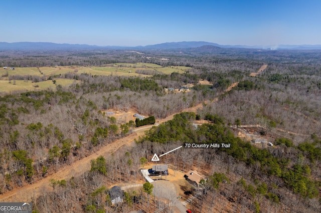 birds eye view of property with a mountain view