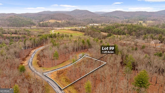 LOT99 S Wind Ct, Morganton GA, 30560 land for sale