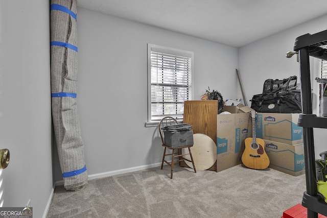 misc room featuring light colored carpet