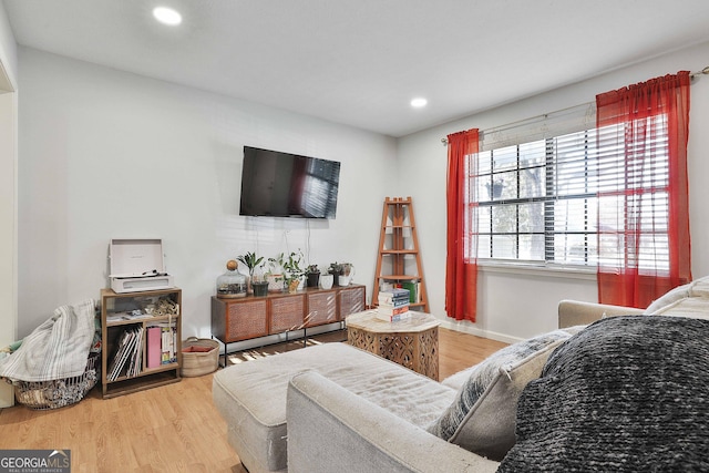 living room with hardwood / wood-style floors