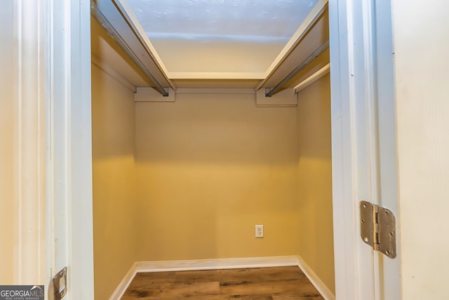 walk in closet with wood-type flooring