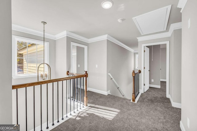 hall featuring carpet floors and ornamental molding