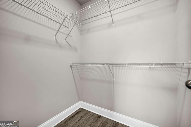 spacious closet featuring hardwood / wood-style flooring