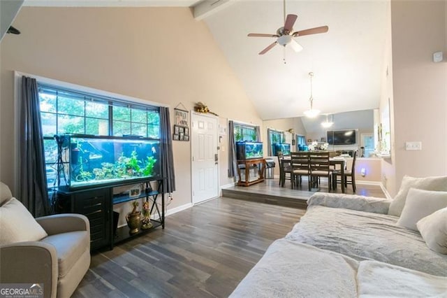 living room featuring beamed ceiling, ceiling fan, dark hardwood / wood-style floors, and high vaulted ceiling