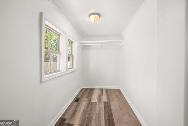 walk in closet featuring hardwood / wood-style flooring