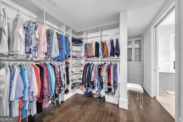 walk in closet with wood-type flooring