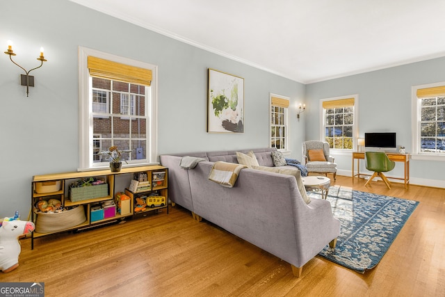 living room with hardwood / wood-style flooring and crown molding