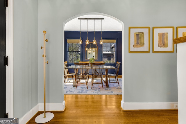 dining room with hardwood / wood-style flooring