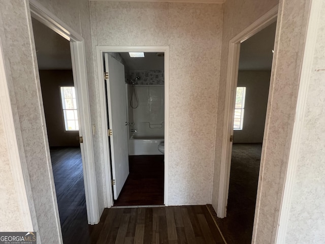 corridor with dark hardwood / wood-style floors