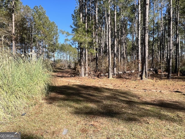 view of local wilderness