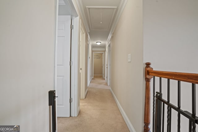 corridor featuring light colored carpet and ornamental molding