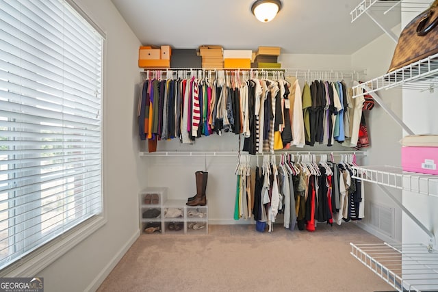 spacious closet featuring carpet