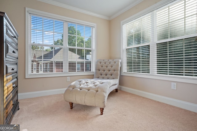 living area featuring carpet and crown molding