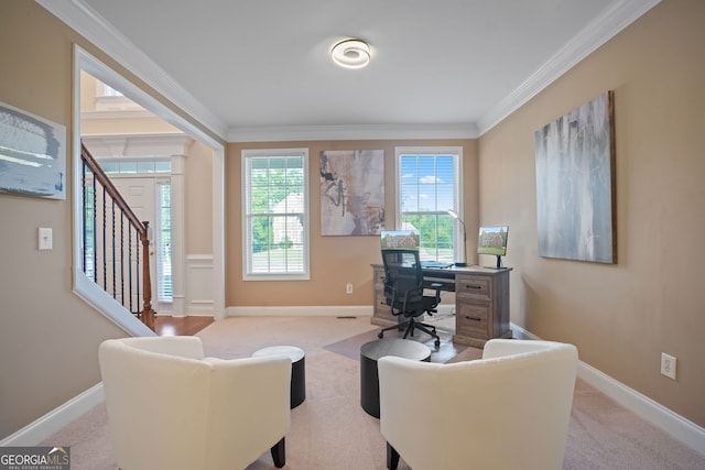 carpeted office with crown molding