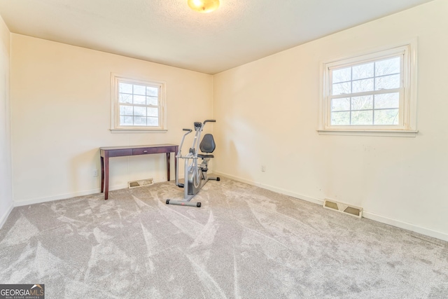 workout area featuring carpet flooring