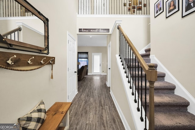 foyer featuring dark wood-type flooring and a high ceiling