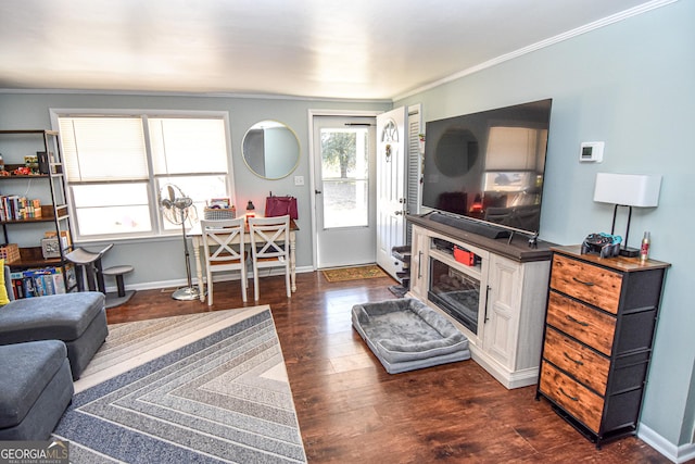 living room with crown molding and dark wood-type flooring