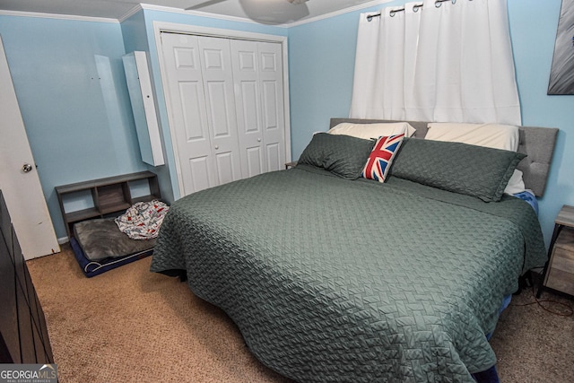 bedroom with carpet flooring, a closet, and crown molding