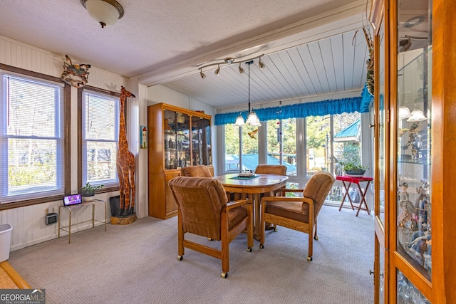 carpeted dining area with a wealth of natural light and a textured ceiling