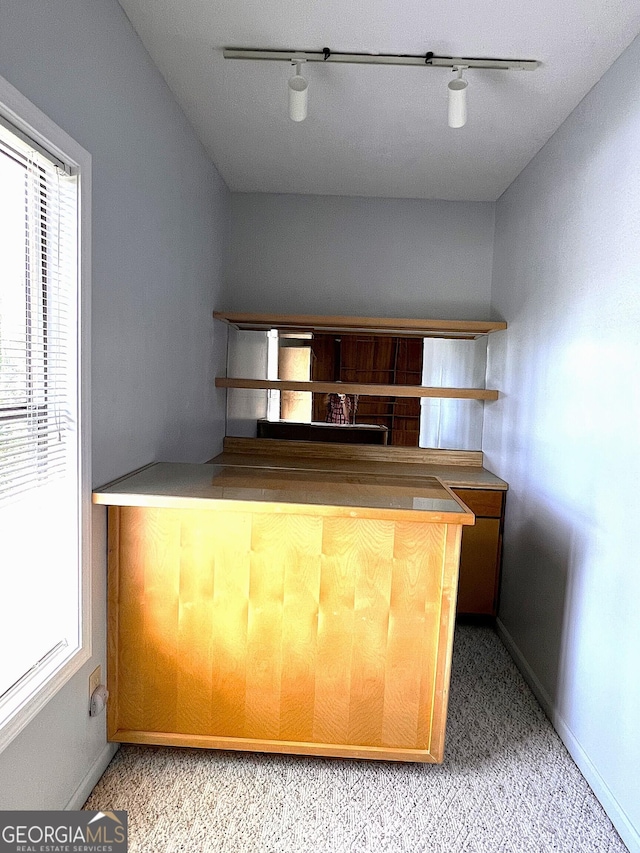 kitchen featuring light carpet, rail lighting, and a healthy amount of sunlight