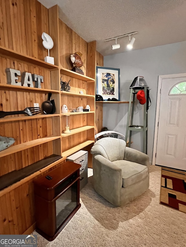 sitting room with a textured ceiling, carpet floors, rail lighting, and wood walls