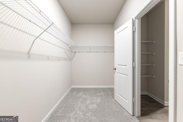 spacious closet with carpet