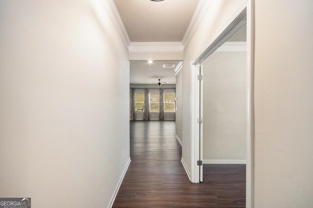 misc room featuring ornamental molding and dark hardwood / wood-style flooring