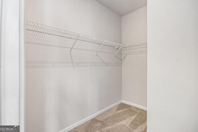 spacious closet featuring carpet floors