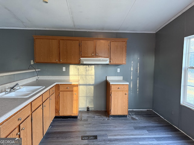 kitchen with dark hardwood / wood-style flooring, crown molding, a healthy amount of sunlight, and sink