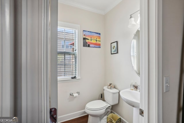 bathroom featuring crown molding and toilet