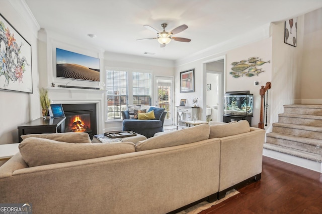 living room featuring ceiling fan, dark hardwood / wood-style floors, and ornamental molding