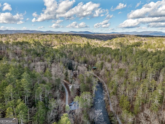 birds eye view of property featuring a mountain view