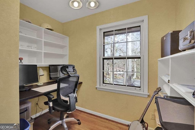 office space featuring wood-type flooring