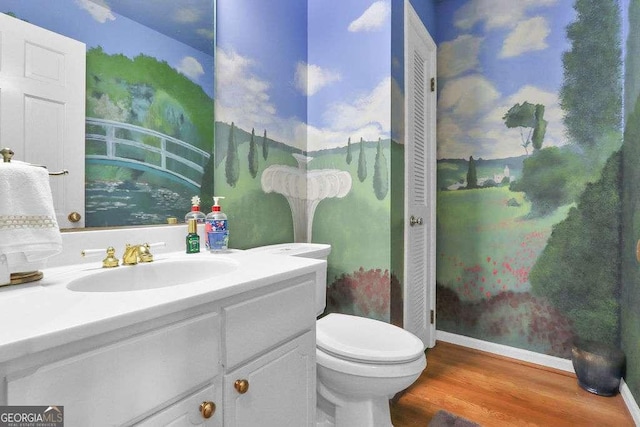 bathroom featuring vanity, toilet, and wood-type flooring