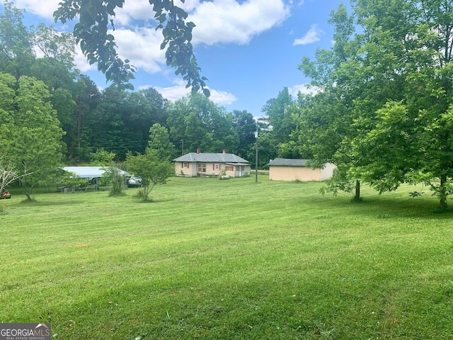 view of yard featuring a storage shed