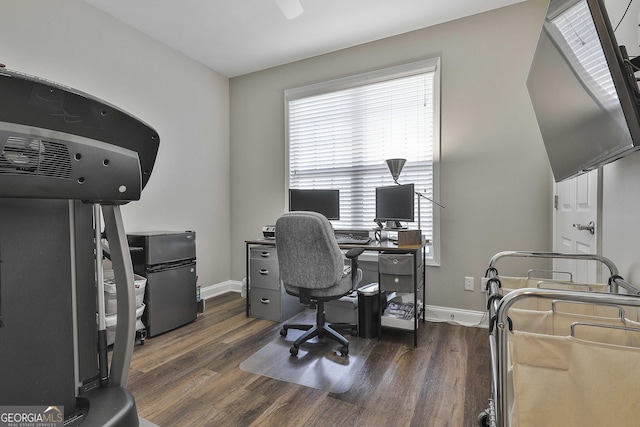 office space with dark hardwood / wood-style flooring