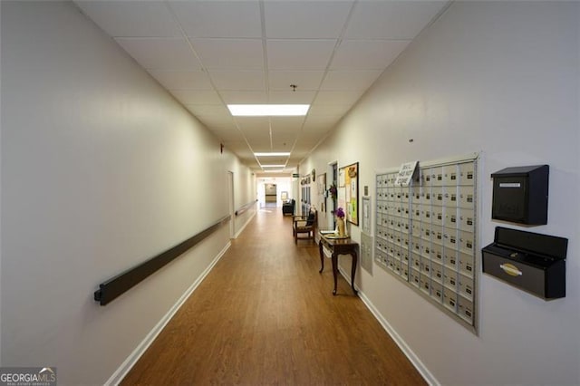 corridor featuring a paneled ceiling, hardwood / wood-style flooring, and a mail area