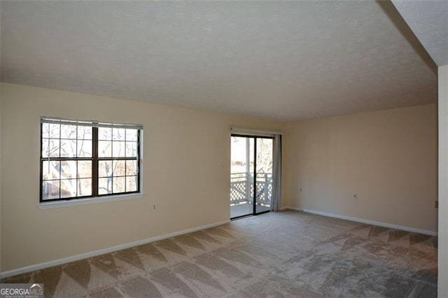 carpeted empty room featuring a healthy amount of sunlight